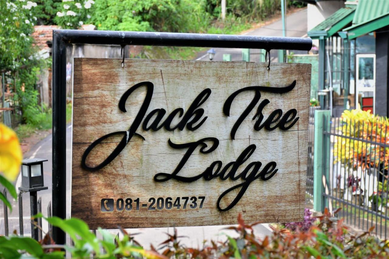 Jack Tree Lodge Kandy Exteriér fotografie