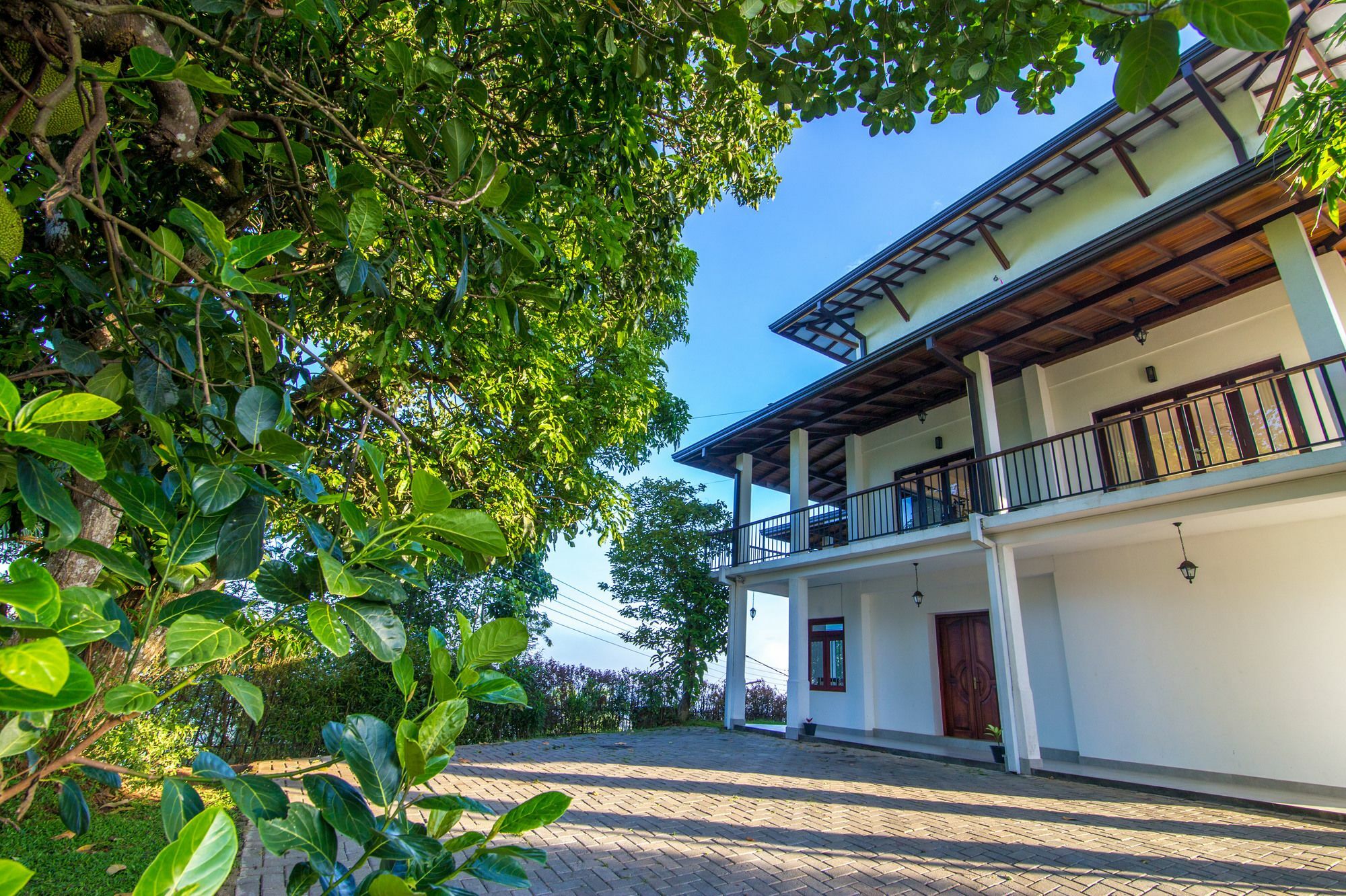 Jack Tree Lodge Kandy Exteriér fotografie